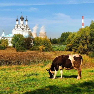 Логотип @zamkadye_new - Замкадье | Подмосковье | Мытищи