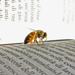 Логотип @zampast - ЗАМЕТКИ ПАСТОРА