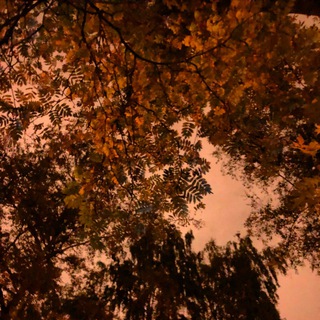 Логотип @zanillavenspb1 - Мир глазами 👀 Zanillaven 🥇