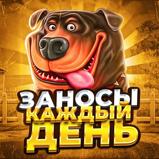 Логотип @zanos5555 - Заносы Каждый День