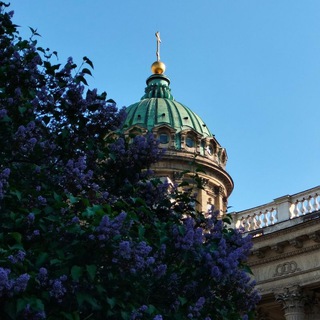 Логотип @zapaxklassuku - Запах классики🌿📚