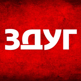 Логотип @zapdepuzgor - Заметки депутата уездного города. (ЗДУГ)