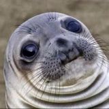 Логотип @zapiskidolboeb - Записки долбоеба