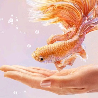 Логотип @zapiskijenschini - Записки женщины за 50+❤️💋