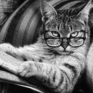 Логотип @zapiskikotapsi - Записки Кота Психолога Chat