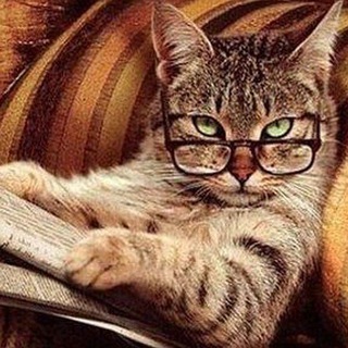 Логотип @zapiskikotapsihologa - Записки Кота Психолога