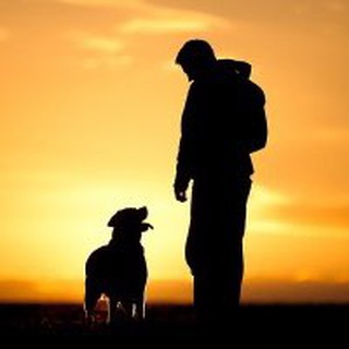 Логотип @zapiskisobakovoda - ЗАПИСКИ СОБАКОВОДА