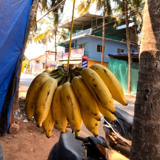 Логотип @zapomnifrazu - То, что хочу запомнить: цитаты