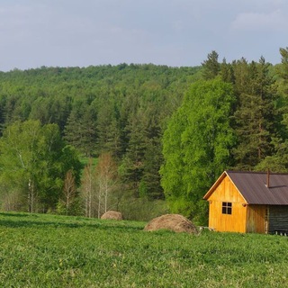 Логотип @zapovedbudni - Девушка и Лес 🌱