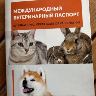 Логотип @zarabtq - не