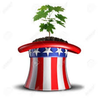 Логотип @zarobotokinetolkoyotu - робота в интернете и не только