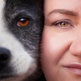 Логотип @zarptichkafermer - ЗАРАЙСКАЯ ПТИЧКА🪺