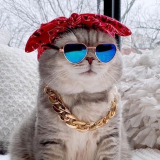 Логотип @zarra23 - Одежда оптом🇹🇷|ZARA🖤|Поставщики Турции🇹🇷|