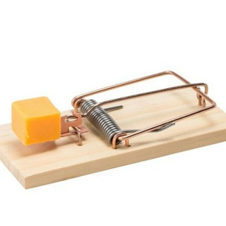 Логотип @zaspasibo - Бесплатный сыр