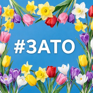 Логотип @zatonovosti - Затоновости Саров
