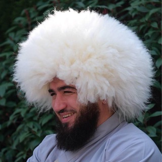 Логотип @zaurbekpitupi - Заурбек Расулов | P2P 🦈🦈🦈