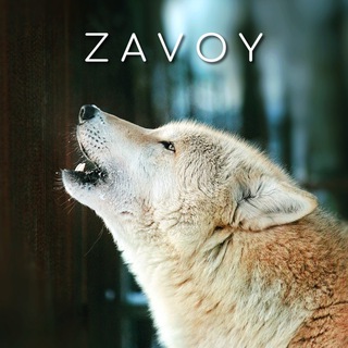 Логотип @zavoy_chertoga - ЗАВОЙ