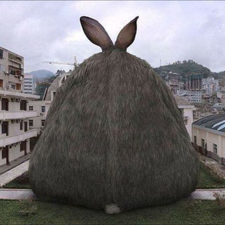 Логотип @zayanymolchy - Зая нимолчи