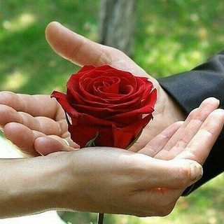 Логотип @zayka098765 - 🌺