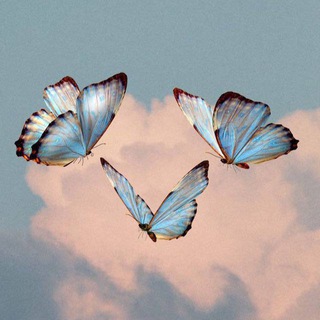Логотип @zazabutterfly - 𝘽𝙪𝙩𝙩𝙚𝙧𝙛𝙡𝙮🦋