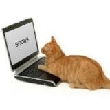 Логотип @zcn18 - Зцн 18+