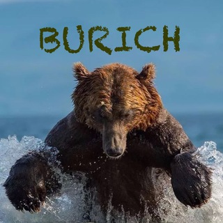 Логотип @zde5w2j96myn2uy - Владос найдет выход