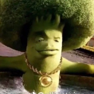 Логотип @zdecy_lechat - RAG