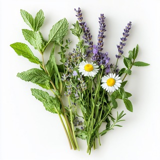 Логотип @zdoroue360 - Здоровье 360°