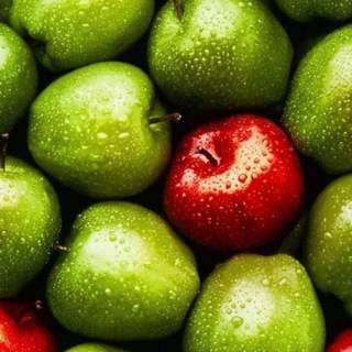 Логотип @zdorovaya_krasivaya - Твоё здоровье 💎