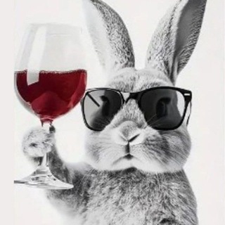 Логотип @zdorovenkim - Вино и мир до 500🐍