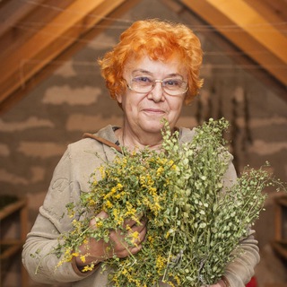 Логотип @zdorovie_polza_trav - Здоровье │ ПОЛЬЗА ТРАВ