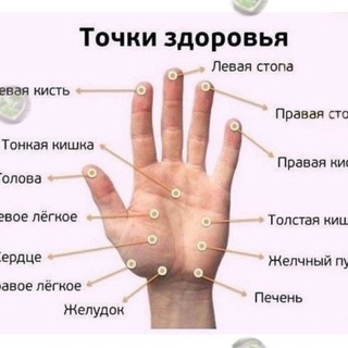 Логотип @zdorovie_zoj - Здоровье_народные средства_ЗОЖ_🎎