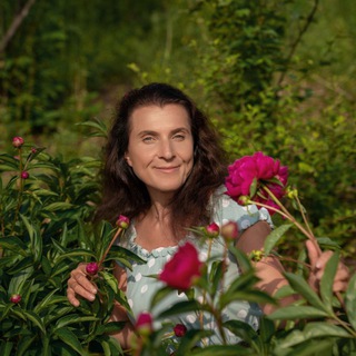 Логотип @zdorovieotprirodi - Восстановление здоровья природными средствами. Татьяна Завражина