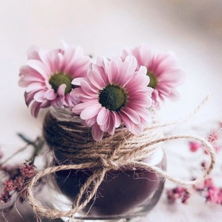 Логотип @zdrav89 - ЯМ для комментариев