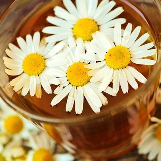 Логотип @zdravnastroy - ЗДРАВНАСТРОЙ