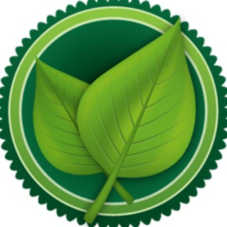 Логотип @zdravnik_club - Путь к Здоровью: Советы и Рецепты 🌱