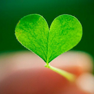 Логотип @zdravnitca - Здравница