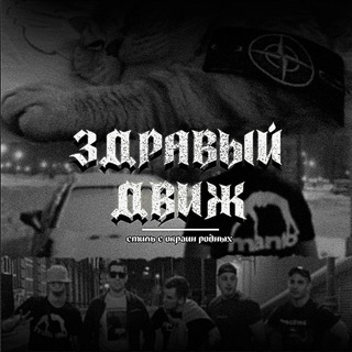 Логотип @zdravyydvizh159 - Здравый движ