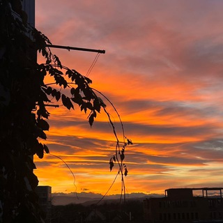 Логотип @zdrvstvymr - приходи на закате