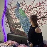 Логотип @zebrazebraaa - Zzzzzzzzz