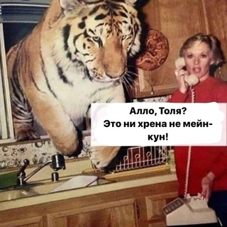 Логотип @zefir_i_markiza - Коты, кушать!
