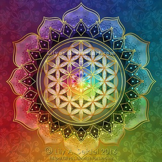 Логотип @zeichenderliebe - Zeichen der Liebe💞✨