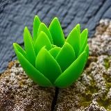 Логотип @zelenidoc - ЗЕЛЕНЬ🍀