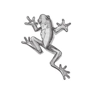 Логотип @zelenkastudio - Zelenka Studio | Ландшафтный дизайн | Архитектура