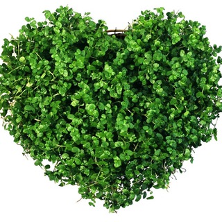 Логотип @zelenmelen_vot - Zэлень-мэлень