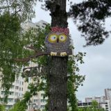 Логотип @zelenograd20mikrorayon - Мы из 20! chat