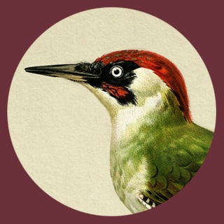 Логотип @zelenyi_dyatel - Ресторан Зелёный дятел