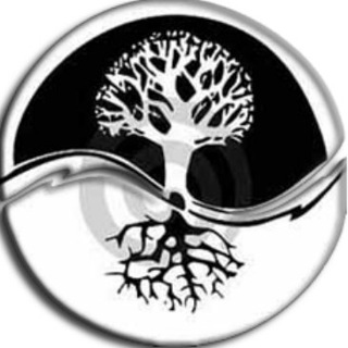 Логотип @zemius - ⚛️ ZEMIUS центр трансперсональной психологии