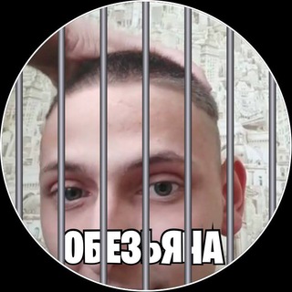 Логотип @zemixpubg2 - TikTok ZEMIKSA
