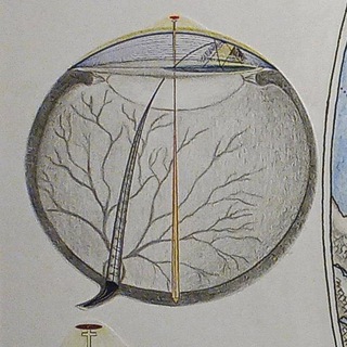 Логотип @zemlyavindetta - Настоящая земля|Тайны|Загадки